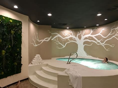 spa packages in northern virginia.